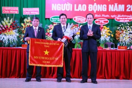 Cao su Đồng Phú có hiệu quả sản xuất kinh doanh nổi bật